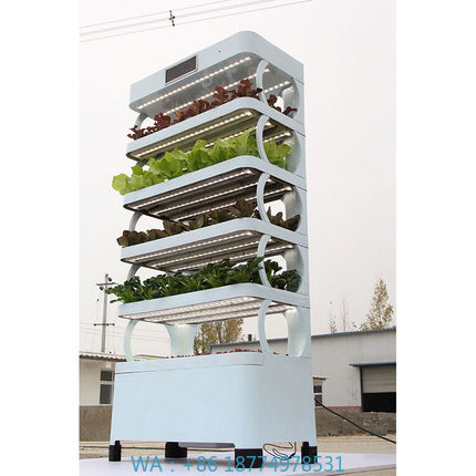 Smart Home Uses - Arming Home Hydroponic Growing SystemsNeue Ankunft