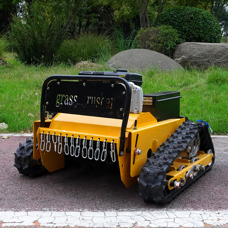 Kundenspezifischer Roboter-Ras – Smart Home Uses Bewertung und Preis