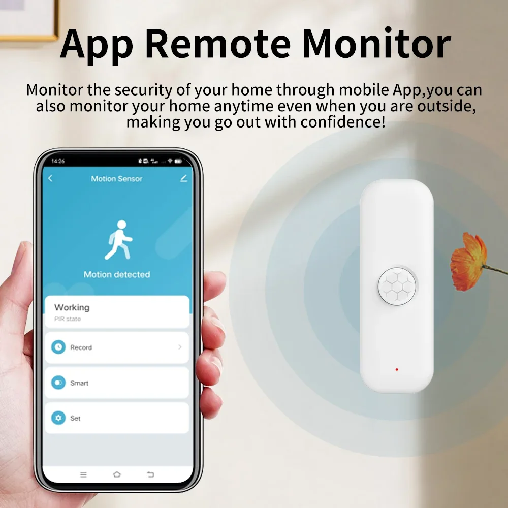 Tuya WiFI Zigbee PIR Motion Se – Smart Home Diy Bewertung und Preis
