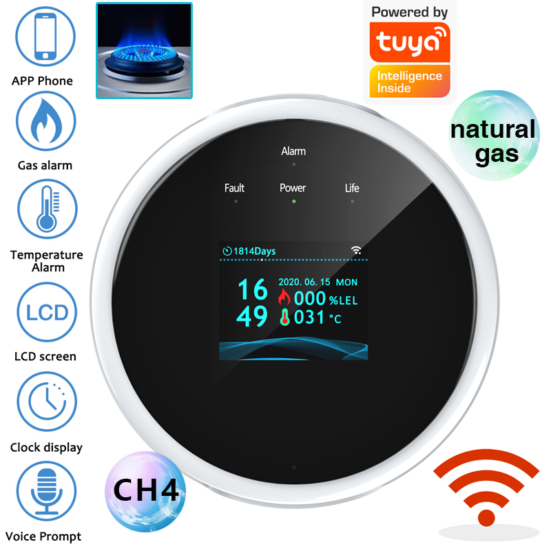 2,4G WiFi Gasalarm-Sensor, Det – Smart Home Full System Bewertung und Preis