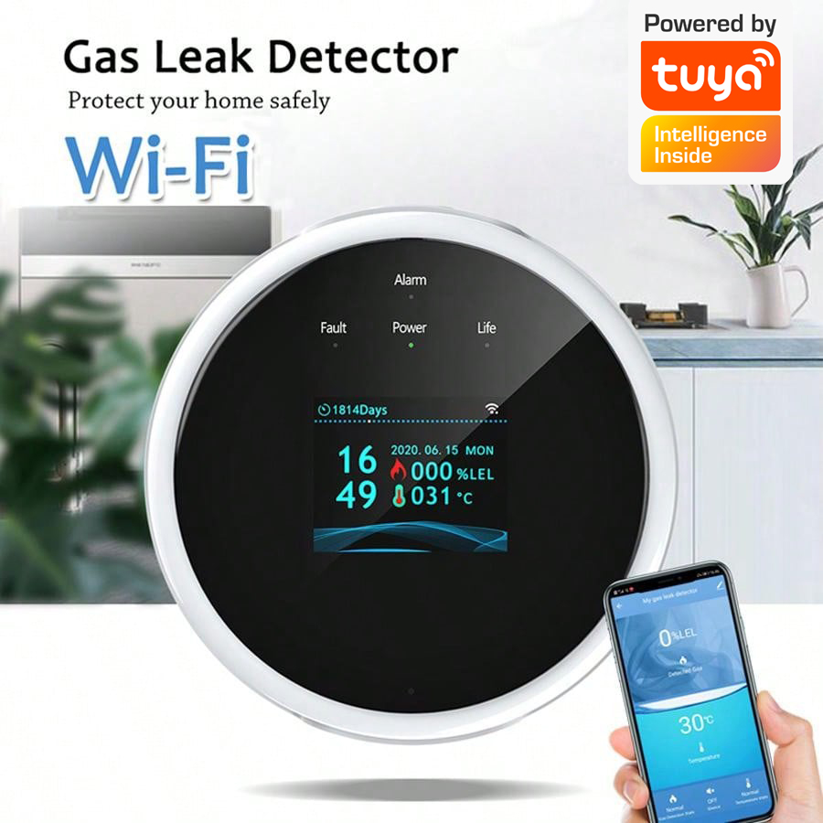 2,4G WiFi Gasalarm-Sensor, Det – Smart Home Full System Bewertung und Preis